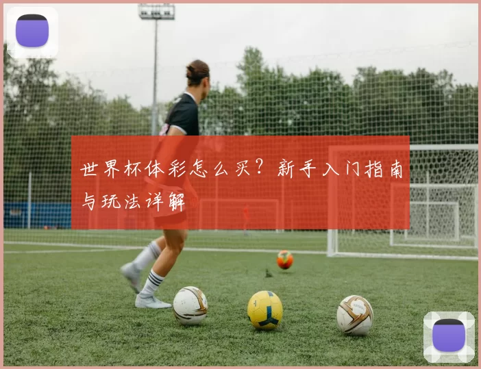 世界杯体彩怎么买？新手入门指南与玩法详解