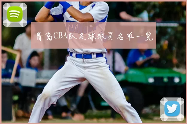 青岛CBA队足球球员名单一览