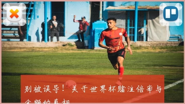别被误导！关于世界杯赌注倍率与金额的真相