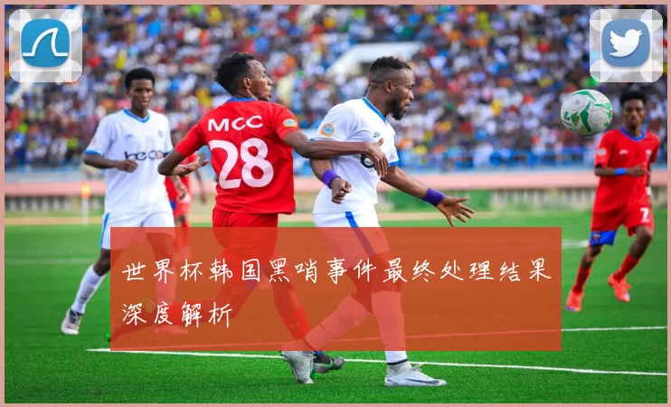 世界杯韩国黑哨事件最终处理结果深度解析