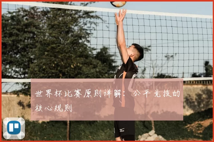 世界杯比赛原则详解:公平竞技的核心规则