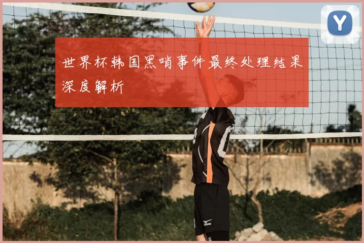 世界杯韩国黑哨事件最终处理结果深度解析