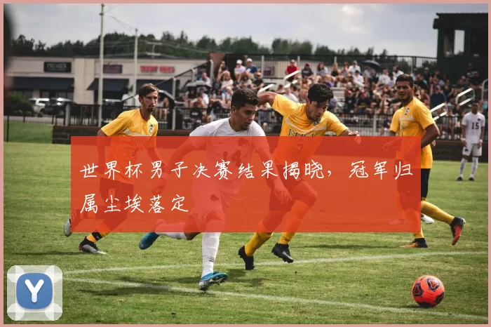 世界杯男子决赛结果揭晓,冠军归属尘埃落定