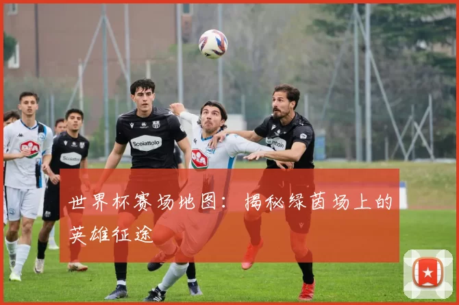 世界杯赛场地图：揭秘绿茵场上的英雄征途