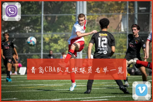 青岛CBA队足球球员名单一览