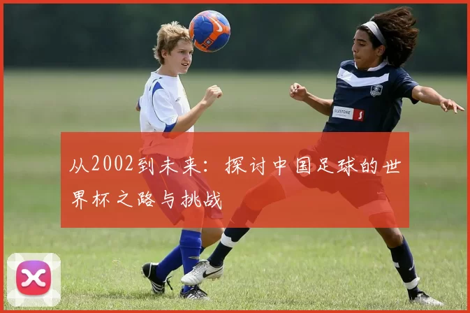 从2002到未来:探讨中国足球的世界杯之路与挑战