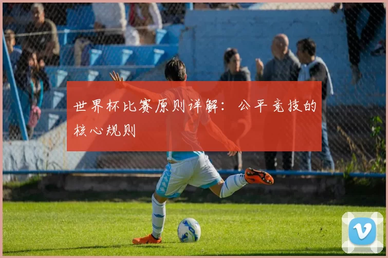 世界杯比赛原则详解:公平竞技的核心规则