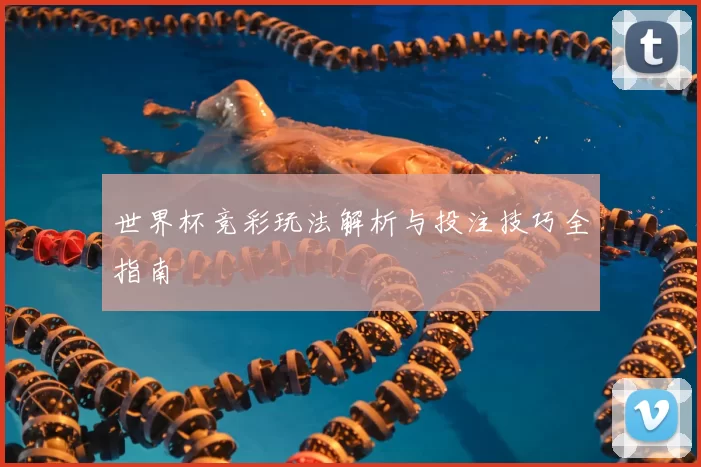 世界杯竞彩玩法解析与投注技巧全指南