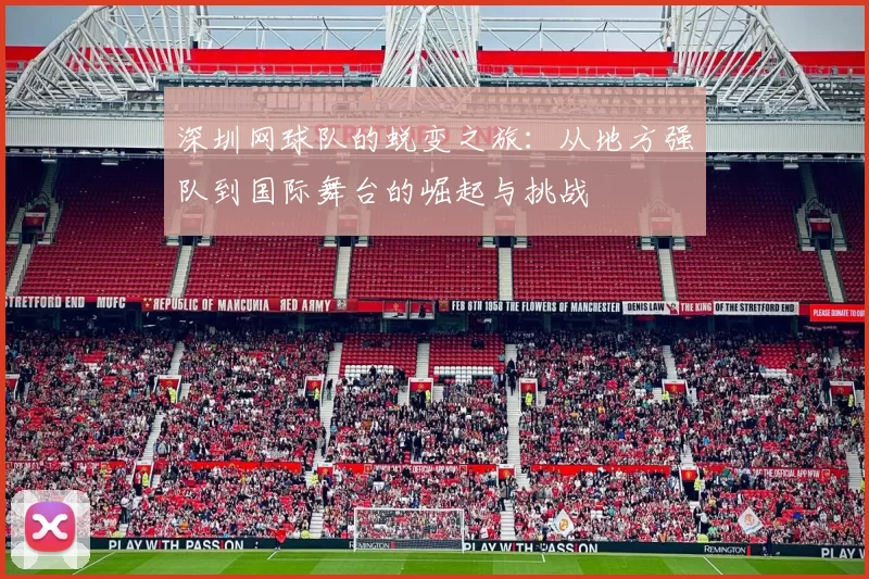 深圳网球队的蜕变之旅：从地方强队到国际舞台的崛起与挑战