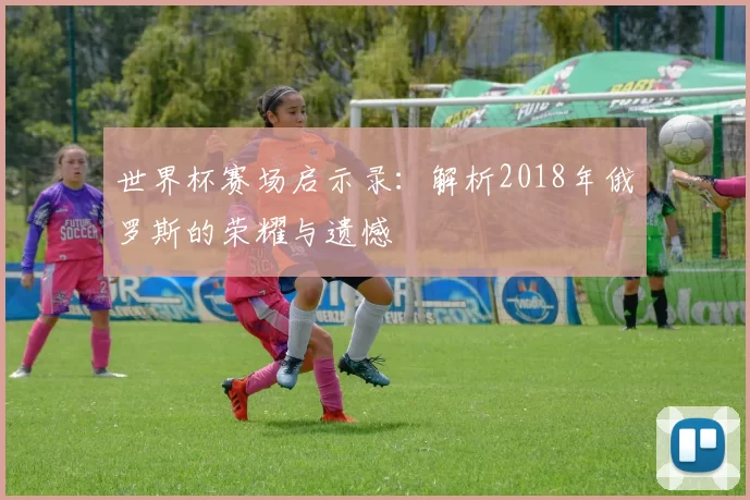 世界杯赛场启示录:解析2018年俄罗斯的荣耀与遗憾