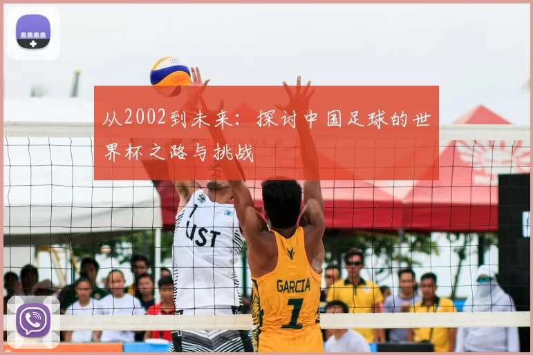 从2002到未来:探讨中国足球的世界杯之路与挑战
